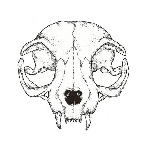 cat skull drawing Animal Skull Drawing, Cat Skull Tattoo, Tattoo Crane, Animal Skull, Skulls Drawing, Cat Skull, Skull Illustration, Skull Drawing, Animal Skulls