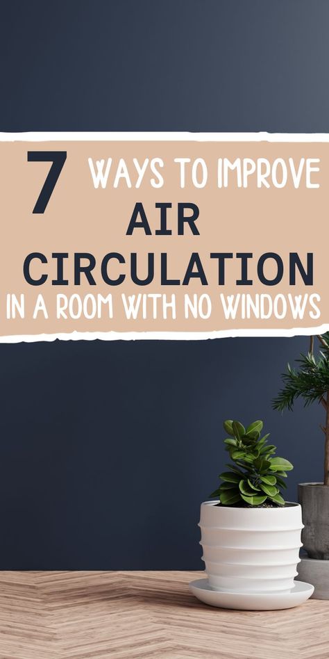 Stylish room with a striking navy-colored wall and a vibrant green plant, highlighting the importance of air quality and circulation. Pin title: '7 ways to improve air circulation in a room without windows'. Living Room No Windows Ideas, Room Without Windows Ideas Bedrooms, Window Ventilation Ideas, Room Ventilation Ideas, Bedroom Ventilation Ideas, Basement Ventilation Ideas, Windowless Room Ideas, Living Room Without Windows, Rooms With No Windows