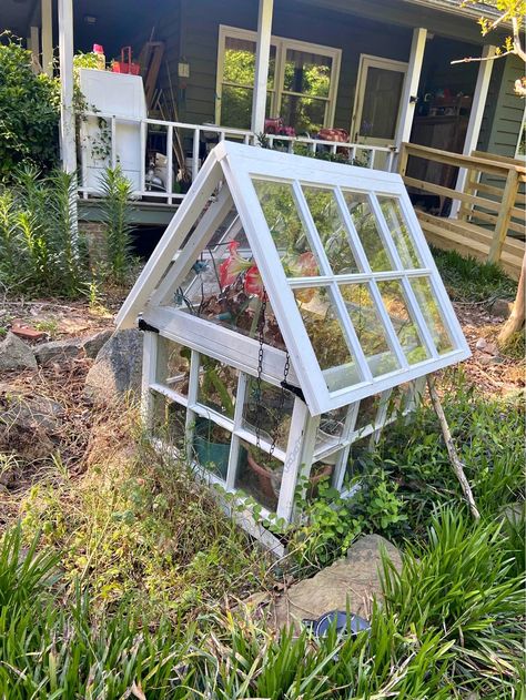 old windows greenhouse Old Window Garden Ideas, Greenhouse Out Of Old Windows, Upcycled Windows, Windows Greenhouse, Quirky Garden, Old Window Frame, Antique Windows, Old Windows, Garden Stuff