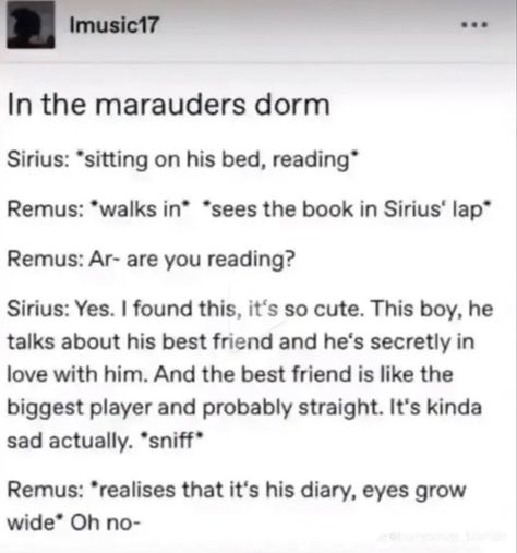 Citate Harry Potter, Funny Harry Potter Jokes, Gay Harry Potter, Harry Potter Feels, Harry Potter Puns, Images Harry Potter, Harry Potter Comics, Harry Potter Ships, Harry Potter Headcannons