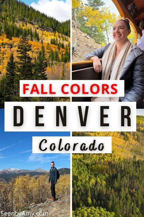 Colorado's fall foliage is a spectacular sight which draws many to the state. Aspens are the star of the show here, and luckily there are some great spots to see them near Denver. Read on for the best fall colors near Denver! Denver Fall Foliage | Denver Fall Activities | Denver Fall Hikes | Fall Activities In Denver | Colorado Fall Vacation | Colorado Fall Colors | Colorado Fall Foliage | Day Trips From Denver Fall | Fall Colors In Colorado | Fall Foliage In Colorado Denver Colorado Vacation, Day Trips From Denver, Vacation Colorado, Denver Activities, Hikes Near Denver, Fall Hikes, Colorado Travel Guide, Fall Vacation, Colorado Fall