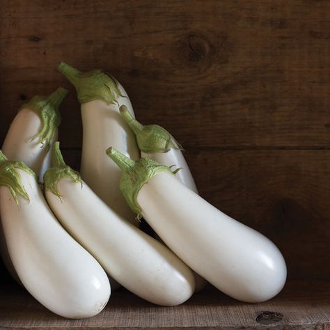 Aretussa White Eggplant, Eggplant Seeds, Cabbage Seeds, Flea Beetles, Hot Pepper Seeds, Seed Packaging, Insect Pest, Seed Pack, Heirloom Vegetables