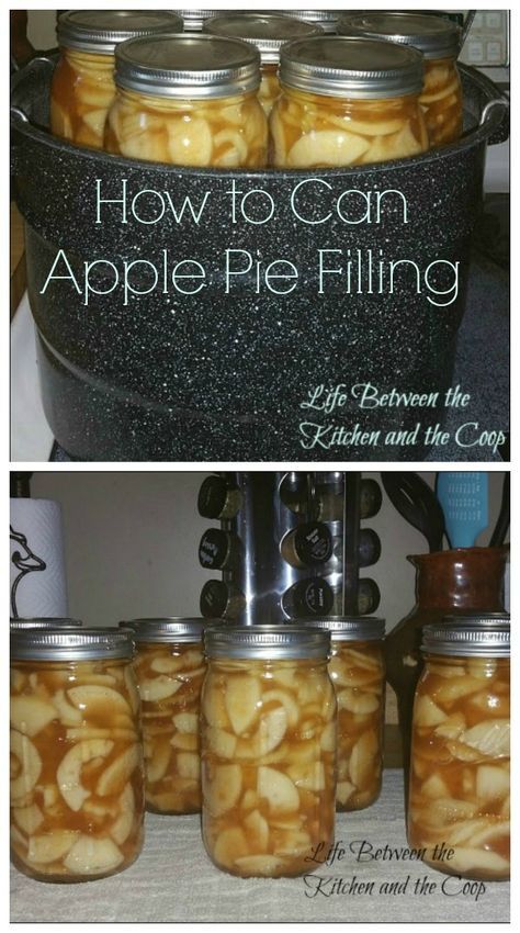 Apple Pie In A Jar Canned, Can Apple Pie Filling, Canning Apple Pie Filling, Pour Cake, Water Bath Canning Recipes, Canning Apples, Homemaking Skills, Preserving Recipes, Apple Pie Filling Recipes