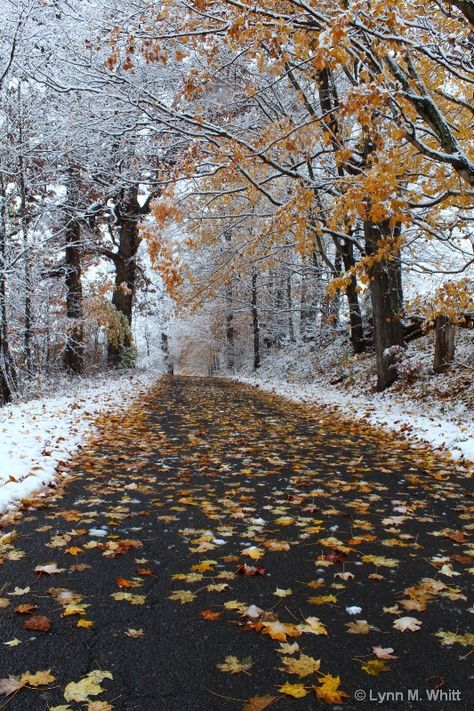 Photo School, Irish Roots, Winter Images, Winter Love, Autumn Scenery, Photography Courses, Winter Scenery, First Snow, Winter Beauty