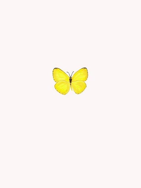 Yellow Butterfly Tattoo Ideas, Yellow Butterfly Drawing, Yellow And White Aesthetic, Yellow Butterfly Aesthetic, Yellow Butterfly Tattoo, White Butterfly Tattoo, Yellow Moodboard, Butterfly Tattoos Images, Yellow Butterflies