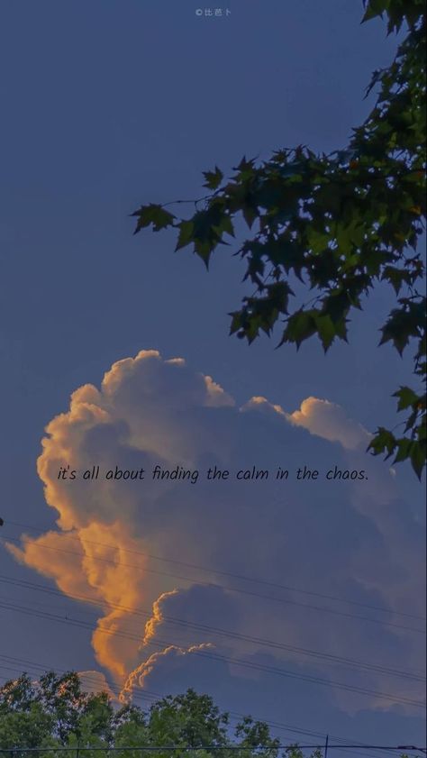 Its All About Finding Calm In The Chaos, Calm Over Chaos Quotes, Life Chaos Quotes, It's All About Finding The Calm In Chaos, Chaos And Peace Quotes, Peace In Chaos Quote, Calm In The Chaos Quotes, Calm Captions, Calm Quotes Aesthetic