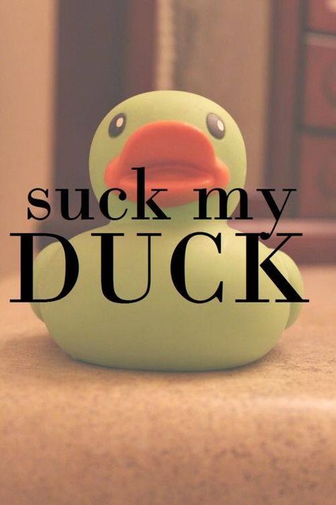 Love this What The Duck, Rubber Ducky, Rubber Duck, Bones Funny, Cute Quotes, The Words, I Laughed, Me Quotes, We Heart It