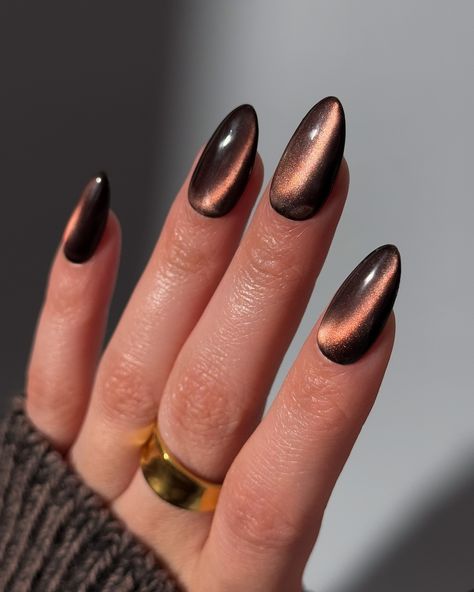 Happy Turkey Day 🦃 so grateful for all of you 🤎 What would you call these glass nails? Cinnamon? Jelly Brown? Let me know below! Products used: @gelcare.official Patent Leather Black, Jelly Brown Bevimee - Silver Cat Eye • use code: THECOLORNOOK to save @nominal #gelcare #lemanoir #gelnails #brownnails #cinnamonglassnails #glassgelnails #glassnails #trendynails #nailartist #gelx #cateyenails cat eye gelx glass nails jelly brown chocolate Brown Cat Eyes Nail, Black Tiger Eye Nails, Tigers Eye Nails Design, Chocolate Brown Cat Eye Nails, Bronze Cat Eye Nails, Black And Gold Cat Eye Nails, Brown Nails Cat Eye, Brown Glass Nails, Gray Cat Eye Nails