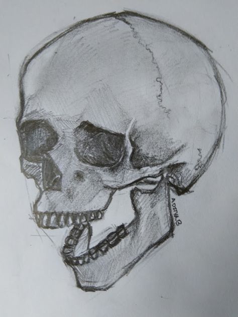 Skull With Jaw Open, Skull With Mouth Open, Skull Open Mouth, Draw A Skull, Skull Emoji, Skull Model, Skulls Drawing, Skull Drawing, Drawing Inspo