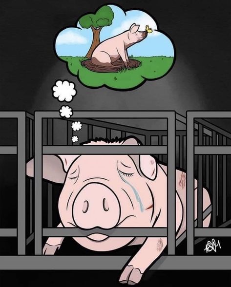 Animal Cruelty Art, Vegan Activism, Stop Animal Testing, Animal Activism, Vegan Bacon, Vegan Quotes, Why Vegan, Animal Liberation, Makeover Bedroom