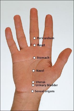 Accupressure Hand Points, Hand Reflexology Trigger Points, Accupunture Points Acupuncture, Korean Hands, Acupuncture Points Chart, Healing Reflexology, Pressure Point Therapy, Acupressure Therapy, Hand Reflexology