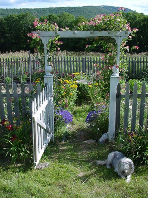 White Gate, Garden Gates And Fencing, White Fence, Garden Arbor, Have Inspiration, The Secret Garden, Country Landscaping, Garden Fencing, Garden Structures