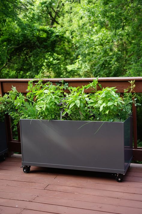 Aluminum Raised Bed on Wheels Bed On Balcony, Movable Planter, Raised Bed Planters, Bed On Wheels, Raised Bed Kits, Cold Climate Gardening, Raised Deck, Raised Planter Beds, Metal Raised Garden Beds