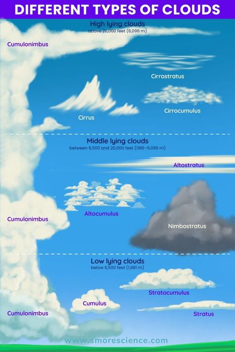 #clouds #atmosphere #troposphere #science #scienceforkids #sciencemagazine #stem #stemeducation #stemforkids Clouds Types, Types Of Cloud, Clouds Images, Layers Of Atmosphere, Cloud Tattoos, Kinds Of Clouds, Types Of Clouds, Cloud Type, Weather Forecasting