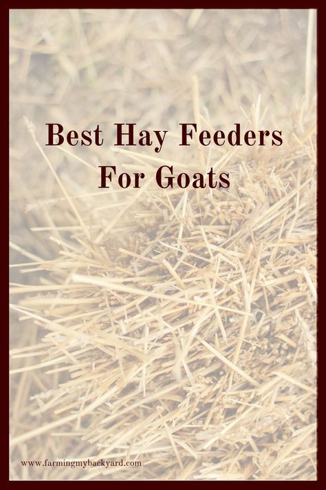 Best Hay Feeders For Goats - Farming My Backyard Feeders For Goats, Hay Feeder For Goats, Goat Hay Feeder, Happy Goat, Goat Care, Raising Goats, Hay Feeder, Feed Bags, Goat Farming