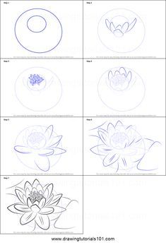 29 Art tutorials ideas in 2022 | art tutorials, flower drawing tutorials, flower drawing Drawing Ideas Step By Step, Water Lily Drawing, Lotus Drawing, Lilies Drawing, Koi Fish Drawing, Water Lilies Painting, Saree Painting Designs, Arte Folk, Flower Drawing Tutorials