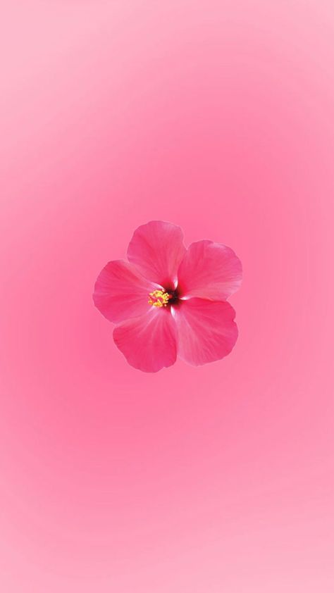 #beachywallpaper #hibiscuswallpaper #aurawallpaper #aurahibiscus #hibiscus #aura #pink #pinkwallpaper #summer #beach #fyp #foryoupage Beachy Wallpaper, Aura Pink, Bow Wallpaper, Bedroom Decor For Teen Girls, Phone Wallpaper Patterns, Ios Wallpapers, Selfie Ideas Instagram, Summer Wallpaper, Pink Art