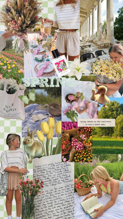 Spring Theme Aesthetic, Winter To Spring Aesthetic, Spring Aesthetic Moodboard, Spring 2024 Aesthetic, Spring Color Aesthetic, Warm Spring Aesthetic, Spring Mood Board Aesthetic, Spring Season Aesthetic, Primavera Aesthetic