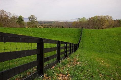 4 board rail fence, a.k.a. Kentucky fence (inside view), showing how the wire mesh is sandwiched between rails and posts. Dog Yard Fence, Build A Fence, Post And Rail Fence, Home Fencing, Wood Fence Design, Split Rail Fence, Concrete Fence, Building A Fence, Rail Fence