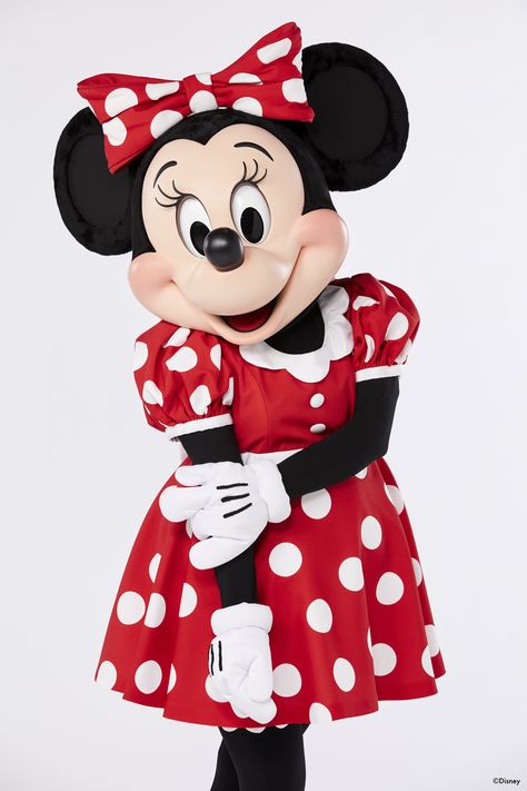 Mickey Mouse Cosplay, Fitted Disney Minnie Mouse Dress, Playful Minnie Mouse Fitted Dress, Minnie Toys, Playful Minnie Mouse Summer Dress, Playful Minnie Mouse Dress-up Dress, Mickey Y Minnie, Mascot Costumes, Disney Park