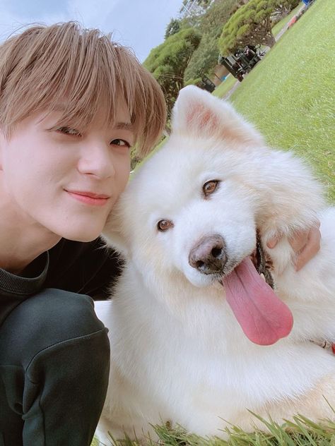 Jeno And Samoyed, Johnny Seo, จีซอง Nct, Nct Dream Members, Putao, Yo Dream, Nct Jeno, Nct Ot23, Jena