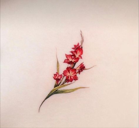 Red Gladiolus Tattoo, Gladiolas Tattoo, Red Flower Tattoo, Red Gladiolus, Red Flower Tattoos, Gladiolus Tattoo, Tattoos 2023, Small Pretty Tattoos, Pretty Tattoos