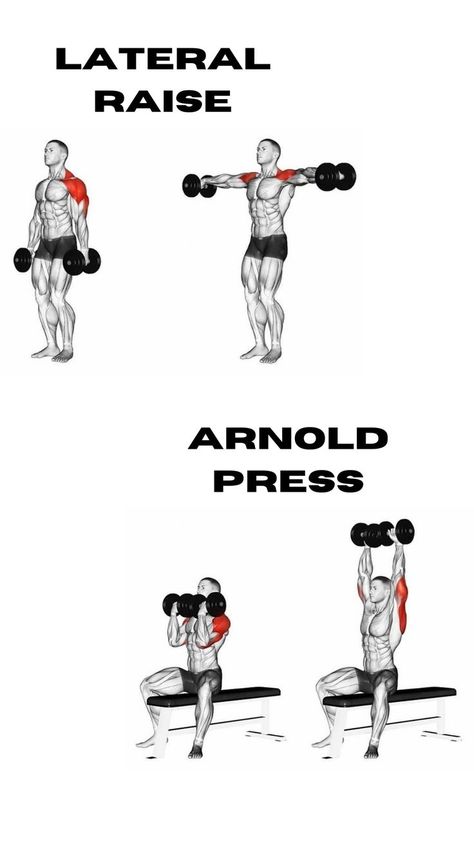 Workouts Without Equipment, Traps Workout, Back And Shoulder Workout, Arnold Press, Gym Workout Plan For Women, Bodybuilding Workout Plan, Gym Workouts Women, Basketball Workouts, Lateral Raises