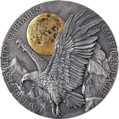 Small Collectibles, Eagle Coin, American Bald Eagle, Money Pictures, Gold Bullion, High Relief, American People, Silver Coin, Beautiful Drawings