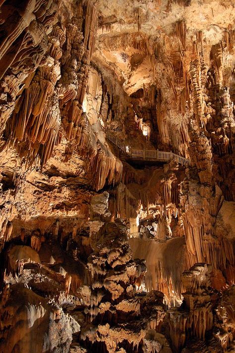 Allegory Of The Cave, Caves And Caverns, Luray Caverns, Misty Dawn, Natural Cave, Underground Caves, Natural Structures, Caving, Fantasy Places