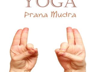 The Meaning OF Kartari Mudra and Steps To Do It | Styles At Life Prana Mudra, Getting Rid Of Migraines, Getting Rid Of Headaches, Hand Mudras, Basic Yoga Poses, Yoga Hands, Yoga Techniques, Basic Yoga, Bikram Yoga