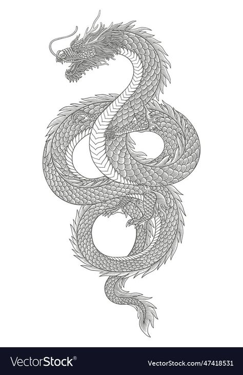 Dragon Vintage Illustration, Japanese Dragon Stencil, Dragon Engraving, Medieval Dragon Illustration, Engraving Drawing, Chinese Dragon Black And White, Chinese Dragon Graphic Design, Japanese Dragon Drawing, Drawing S