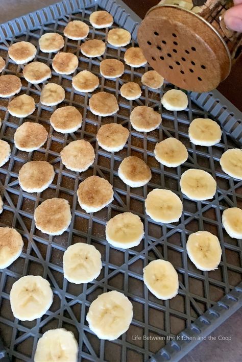 How to Dehydrate Banana Chips with Cinnamon and Sugar Banana Chips Dehydrator, How To Dehydrate Bananas, Food Dehydrator Recipes, Dehydrator Ideas, Dehydrated Banana Chips, Dehydrator Recipes Fruit, Banana Chips Recipe, Dehydrated Recipes, Chip Seasoning