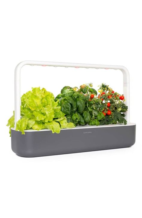 Best Indoor Garden: Click & Grow Smart Garden 9 Indoor Planter Indoor Vegetable Garden, Green Lettuce, Plant Life Cycle, Smart Garden, Aquaponics System, Shopify Design, Indoor Herb Garden, Herbs Indoors, Growing Fruit