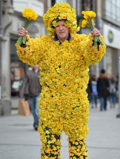 daff-man-in-dublin-Daffodil Day 3/28/14 Daffodil Day, Guerrilla Gardening, Hay Fever, Picture Editor, Daffodil Flower, Too Soon, Welcome Spring, Raise Money, Funny Faces