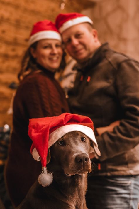 Christmas Family Photoshoot With Dog, Christmas Picture Ideas With Dogs Couple, Pet Christmas Photos, Indoor Family Photos, Family Holiday Card, Dog Christmas Photos, Dog Christmas Pictures, Christmas Couple Photos, Couple Christmas Card