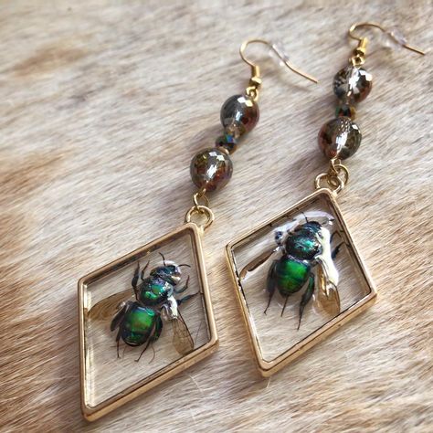 Bugs In Resin, Sapphic Academia, Garland Inspiration, Insect Earrings, Oddities Jewelry, Moth Insect, Bug Earrings, Land Ideas, Taxidermy Jewelry