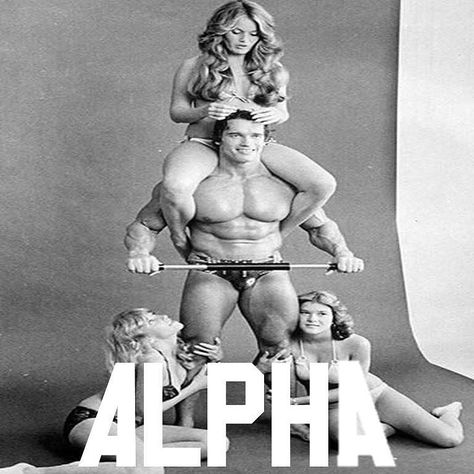 "The Austrian Oak" ALPHA. #arnoldschwarzenegger #aesthetics #alpha #flex # #classicbodybuilding #bodybuilder #goldeneraofbodybuilding #muscle #fitness #classics #musclenation #fitlife #goldsgymvenice #fit #shred #classicbodybuilding #musclebeach #physique #gains #fitspiration #gym #fitfam #fitspo #shred #beastmode #motivation #gymtime #venicebeach #shredded #kingofthehill #austrianoak Arnold Schwarzenegger Bodybuilding, Schwarzenegger Bodybuilding, Bodybuilding Pictures, Nutrition Sportive, Pumping Iron, Mr Olympia, Body Builder, Arnold Schwarzenegger, Bodybuilding Motivation