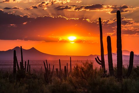 The Ultimate Arizona Road Trip: 7 Perfect Days in Arizona - Eternal Arrival Landscape Studies, Arizona Sunset, Arizona Road Trip, Road Trip Planner, Living In Arizona, East Coast Road Trip, Utah Road Trip, Road Trip Routes, Selling Your Home