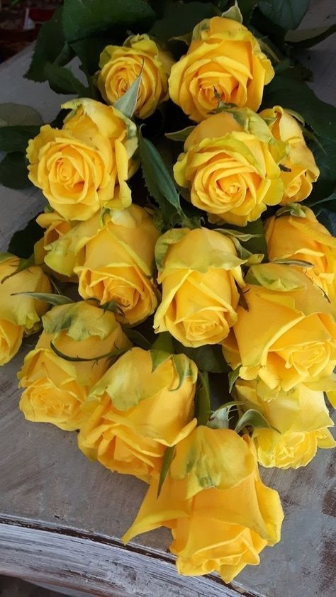 Yellow Rose Bouquet, Golden Roses, Roses Only, Flower Magic, Yellow Rose Flower, Rose Flower Wallpaper, Retro 2, Beautiful Bouquet Of Flowers, Beautiful Flowers Wallpapers