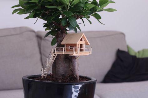 Use code "PINME"  for 40% off all hammocks on our site maderaoutdoor.com ⛰ Beautiful Tree Houses, Tree House Diy, Cool Tree Houses, Fairy House Diy, Tree House Designs, Diy Tree, Fairy Garden Houses, Diy Garden Furniture, Miniature Trees