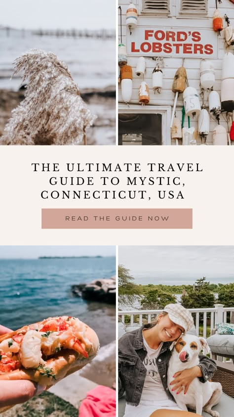 Did you know #mystic has been ranked as the most beautiful town in Connecticut! The perfect time to visit is during the #summer. Check out this guide for tips on how to spend the weekend in Mystic! Its time to book your trip! Follow @travelingoodies for all the travelin' goodies Connecticut Summer, Connecticut Fall, Mystic Ct, Summer In Connecticut, Mystic Ct Things To Do, Best Places To Visit In Connecticut, Where To Visit In Connecticut, Mystic Connecticut Winter, Mystic Connecticut Fall