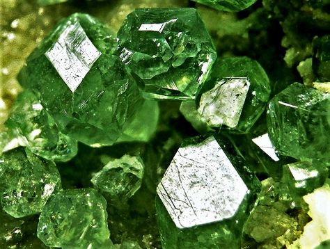 Andradite Garnet, Green Gem, Geology Rocks, Raw Minerals, Gems Art, Beautiful Stones, Pretty Rocks, Motion Graphics Design, Green Gems