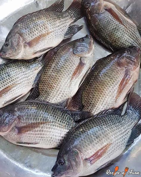 Tilapia Fish Farming, Seafood Photography, Calamansi Juice, Bengali Cuisine, Recipe With Lemon, Tilapia Recipe, Ikan Air Tawar, Sliced Onion, Creative Restaurant