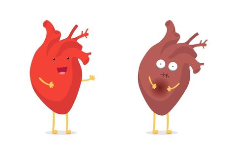 Sad sick unhealthy vs healthy strong happy smiling cute heart character. Medical anatomic funny cartoon human internal organ. Vector flat eps illustration Heart Character, Heart Organ, Cartoon Human, Human Heart, Cartoon Gifs, Cute Heart, Funny Cartoon, Vector Photo, Cardio