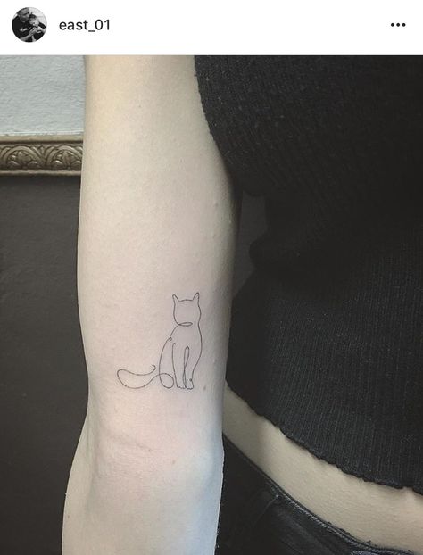 fine line single needle cat Cute Cat Tattoo Ideas, Cat Tattoo Ideas, Tattoo Fine Line, Cat Tattoo Simple, Tier Tattoo, Cute Cat Tattoo, Tattoo Diy, Cat Tattoos, Inspiration Tattoos