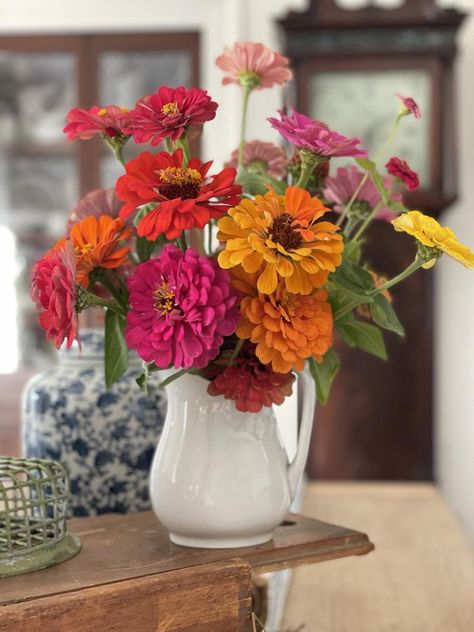 Growing Zinnias From Seed, Growing Zinnias, Zinnia Bouquet, Zinnia Garden, Zinnia Elegans, Deadheading, Summer Flowers Garden, Succession Planting, Starting Seeds Indoors