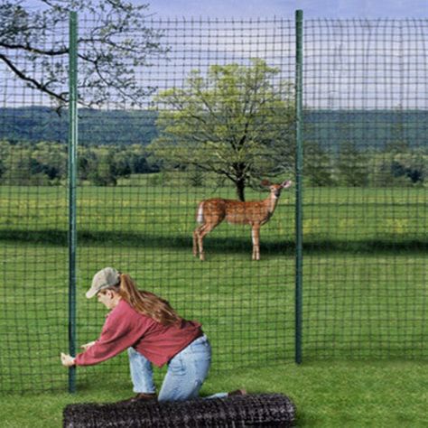 Deer Deterent, Deer Proof, Deer Fence, Cheap Fence, Potager Garden, Farm Fence, Dog Fence, Backyard Fences, Garden Pests