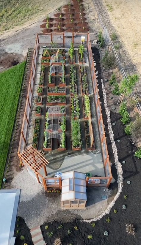 Inground Garden, Farm Plans, Backyard Greenhouse, Backyard Farming, Home Vegetable Garden, Vibrant Flowers, Greenhouse Gardening, Garden Yard Ideas, Vegetable Garden Design