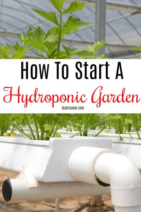 How To Start A Hydroponic Garden https://dianfarmer.com/how-to-start-a-hydroponic-garden/ #family #GSFF #moneysaver #needs #financialindependence #finance #moneymatters #debtfreecommunity #financialpeace #moneysaving #financialgoals #savingsgoals Hydroponic Gardening Diy, Indoor Hydroponic Gardening, Hydro Gardening, Hydroponic Gardening System, Hydroponic Garden, Hydroponic Farming, Hydroponics Diy, Hydroponic Growing, Survival Gardening