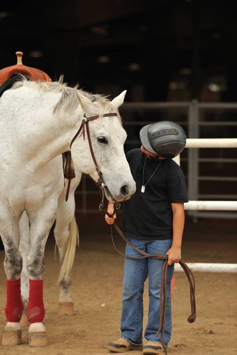 The Lesson Horse Lifestyle – The Horse Horse Lifestyle, Equine Veterinarian, Reining Horses, Riding School, Saddle Fitting, Horse Health, Sport Horse, Veterinary Medicine, Horse Life